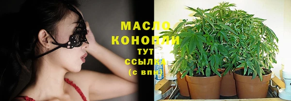 скорость Богданович